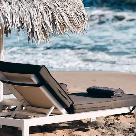 Nema Design & (adults Only)